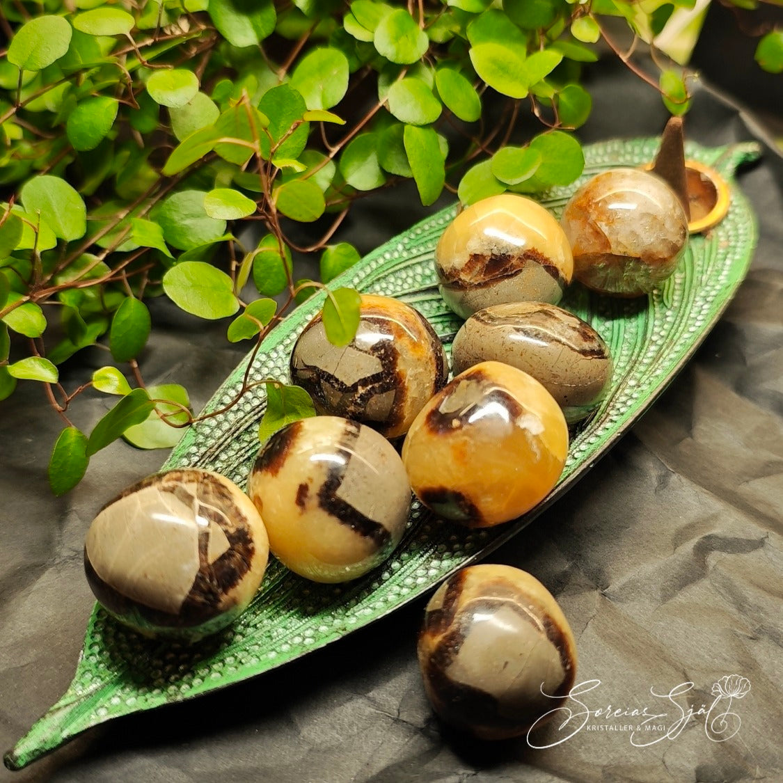 Septarian Draksten, cuddle stone